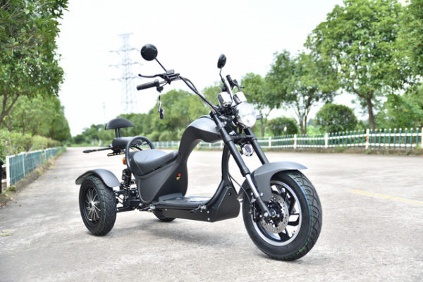 EBU - Triciclo eléctrico de pasajeros para adultos triciclo para 2