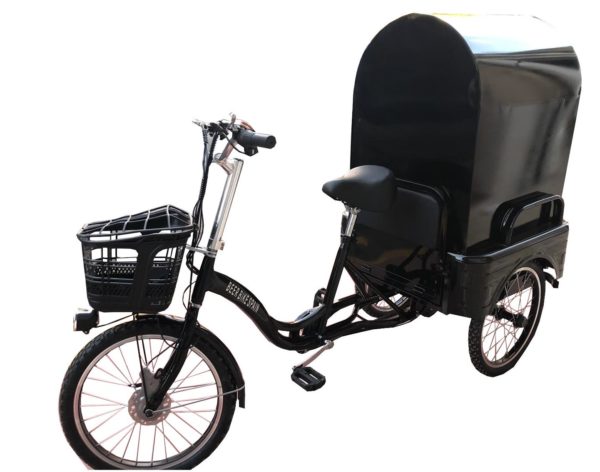 Asistente Caballo pavo triciclo con asiento trasero archivos • Triciclos Eléctricos